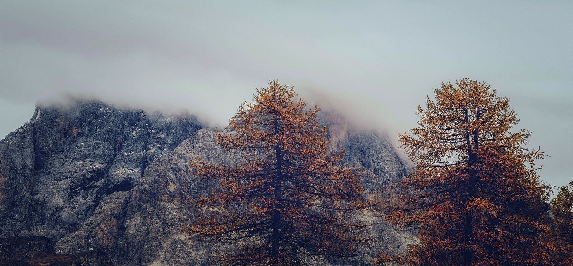 Entrevista "Tan naturales cómo tú"