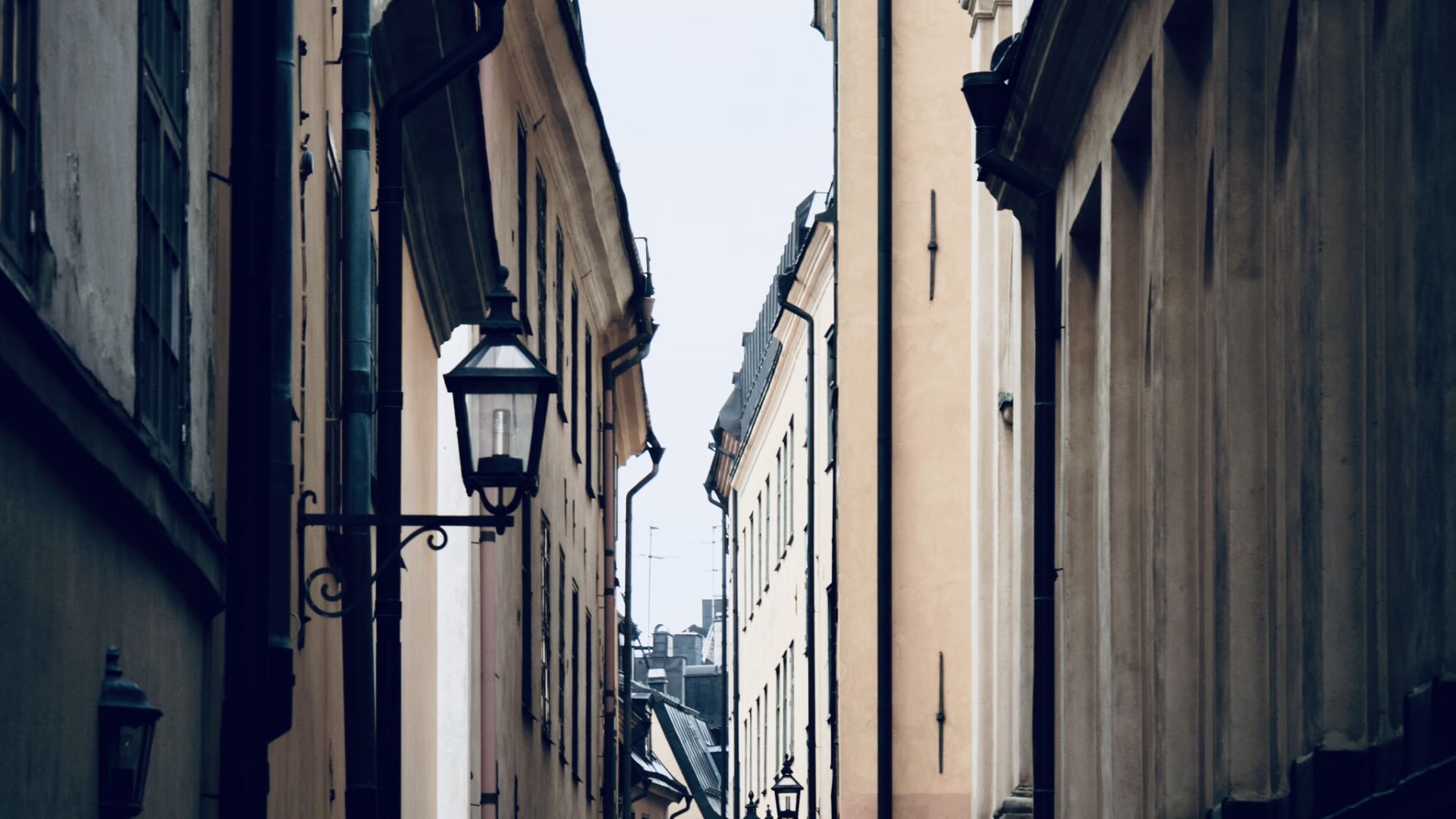 REUNIONES PRESENCIALES LOS MIERCOLES A LAS 19:30H