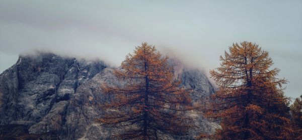 Entrevista "Tan naturales cómo tú"